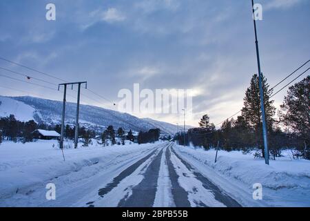 Cani da slitta da neve a Geilo Norvegia Foto Stock