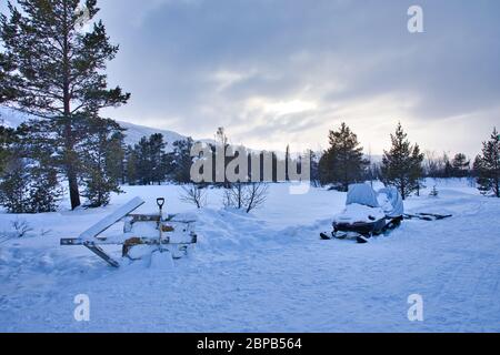 Cani da slitta da neve a Geilo Norvegia Foto Stock