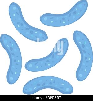 Bifidobacterium, simbolo del Lactobacillus bifidus. Può essere utilizzato per banner Web yogurt. Concetto medico, microbiologia, fermentazione. Vettore stock Illustrazione Vettoriale