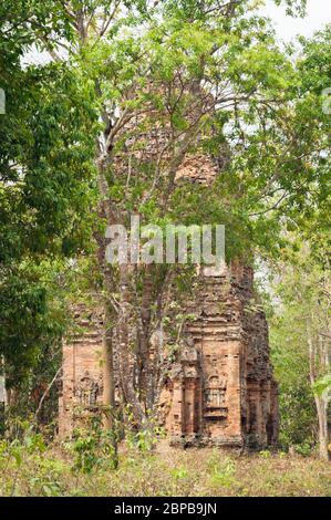 Antiche rovine del tempio nella foresta. Sito archeologico di Sambor Prei Kuk, provincia di Kampong Thom, Cambogia, Sud-est asiatico Foto Stock