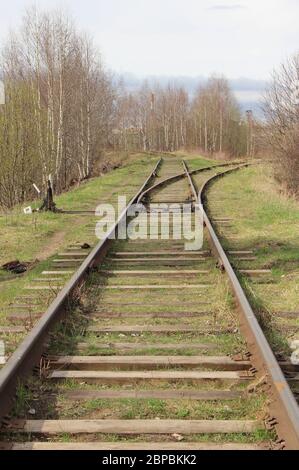 La ferrovia si estende in lontananza sullo sfondo di giovani verdi erba e alberi in primavera. Foto Stock