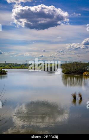 Lago Adamov nella Slovacchia occidentale vicino alla città di Gbely Foto Stock