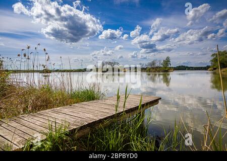 Lago Adamov nella Slovacchia occidentale vicino alla città di Gbely Foto Stock
