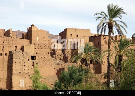 Il tradizionale villaggio di Tamnougalt, costruito nel fango, in un'oasi ricoperta di palme nella valle del Draa, nel sud del Marocco Foto Stock