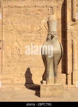 Statua di Horus nel cortile del Tempio di Horus, Edfu, governatorato di Assuan, Egitto Foto Stock