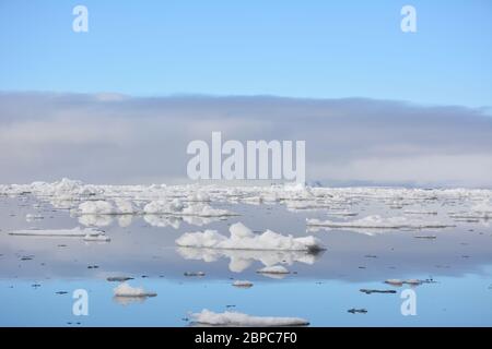 Viste mozzafiato sul ghiaccio galleggiante in una tranquilla giornata estiva a Svalbard, con il cielo color pastello riflesso nella superficie dell'acqua. Foto Stock