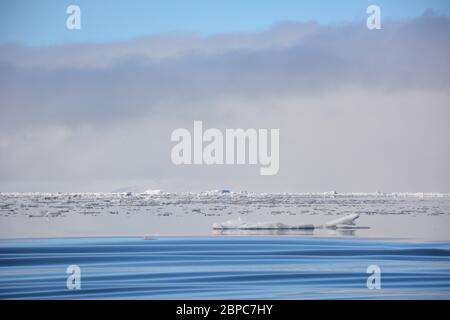 Viste mozzafiato sul ghiaccio galleggiante in una tranquilla giornata estiva a Svalbard, con il cielo color pastello riflesso nella superficie dell'acqua. Foto Stock