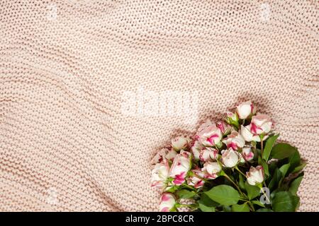 Bouquet di rose piccole su coperta rosa polverosa. Disposizione piatta. Vista dall'alto. Orizzontale, spazio di copia. 8 marzo, 14 febbraio, San Valentino, Madre, Festa della Donna Foto Stock