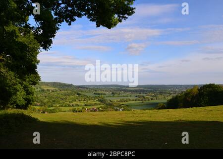 Meenfield Wood, Darent Valley, Andrews Wood e Polhill Bank, a nord-ovest Kent vicino Sevenoaks Foto Stock