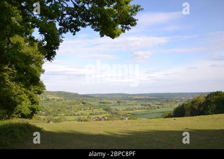 Meenfield Wood, Darent Valley, Andrews Wood e Polhill Bank, a nord-ovest Kent vicino Sevenoaks Foto Stock