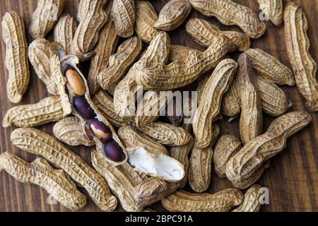 Arachidi nella conchiglia da Tenejapa, Chiapas, Messico Foto Stock