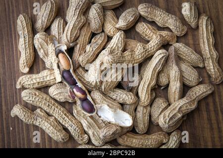 Arachidi nella conchiglia da Tenejapa, Chiapas, Messico Foto Stock