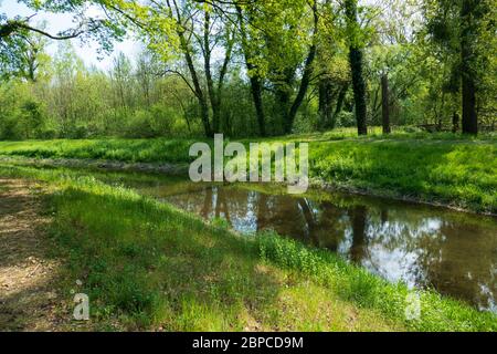 Altrhein, Rhein Aue, Fluß Landschaft bei Iffezheim Foto Stock