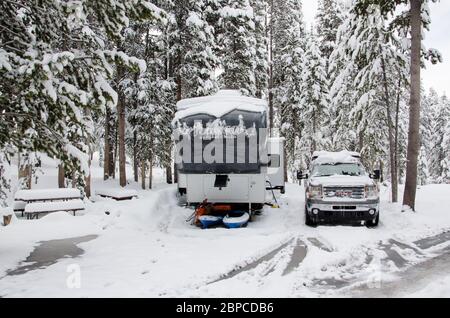 Una nevicata a metà maggio copre un camper e un camion nel Parco Nazionale di Yellowstone, Stati Uniti Foto Stock
