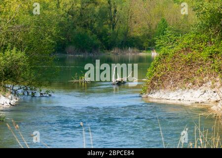 Altrhein, Rhein Aue, Fluß Landschaft bei Iffezheim Foto Stock