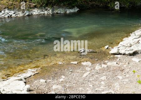 Altrhein, Rhein Aue, Fluß Landschaft bei Iffezheim Foto Stock