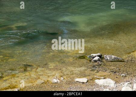 Altrhein, Rhein Aue, Fluß Landschaft bei Iffezheim Foto Stock