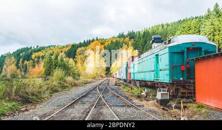 Ferrovia e treno colorato nella stagione autunnale, mt Rainier National Park area, Elba, Washington, USA. Foto Stock