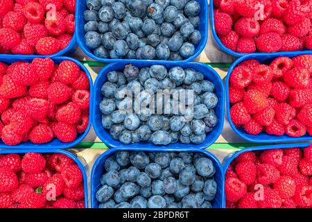 Mirtilli e lamponi in scatole blu sul mercato dei produttori di alimenti. Foto Stock