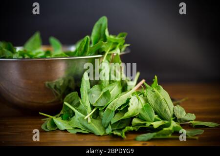 foglie di sorbetto fresche su un tavolo di legno Foto Stock