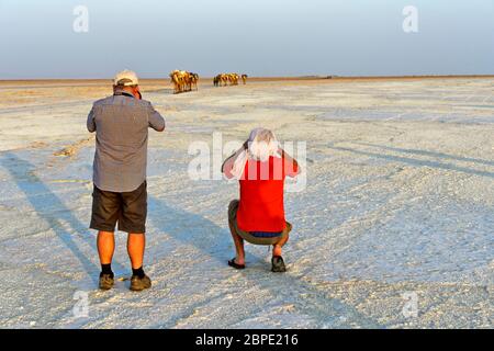 I turisti occidentali con la macchina fotografica in mano attendono con impazienza una carovana di dromedario sul lago salato di Assale, la depressione di Danakil, Etiopia Foto Stock