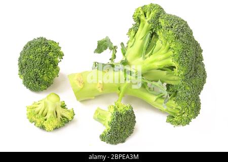 Brokkoli freigestellt vor weißem Hintergrund (Brassica oleracea var. italica) Foto Stock