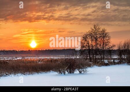 Inverno am Bodden bei Wiek. Foto Stock