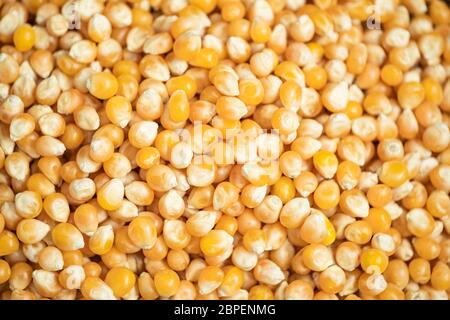 Semi di mais secchi grezzi. Composizione di posa piatta. Cibo sano, organico e delizioso. Vista dall'alto. Foto Stock