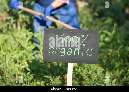 Agricoltore lavora nei vegetali non geneticamente modificati garden Foto Stock