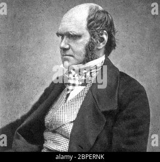 CHARLES DARWIN (1809-1882) naturalista inglese circa 1854 Foto Stock