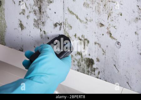 Close-up di persona mano indossando guanti di umidità di misurazione di una parete di muffa Foto Stock