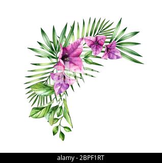 Disposizione tropicale acquerello. Fiori rosa bouganvillea, palme e foglie di agrumi. Sfondo floreale dipinto a mano. Illustrazioni botaniche isolate Foto Stock