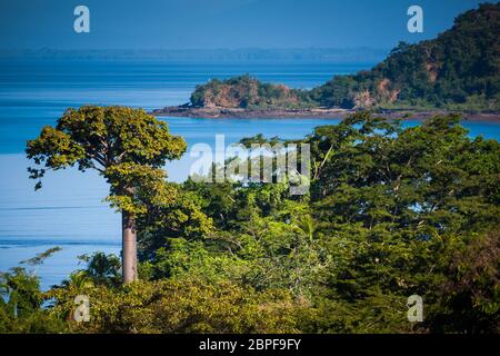 Panama paesaggio con lussureggiante foresta pluviale costiera a Punta Patino riserva naturale, costa del Pacifico, provincia di Darien, Repubblica di Panama, America Centrale. Foto Stock