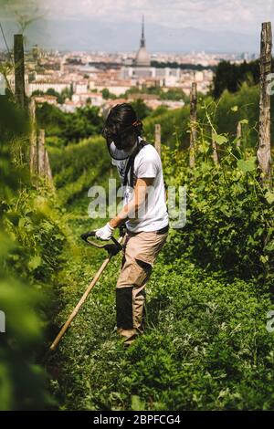 Torino, Italia. 18 maggio 2020. Un lavoratore lavora in un vigneto a Torino, 18 maggio 2020. Credit: Federico Tardito/Xinhua/Alamy Live News Foto Stock