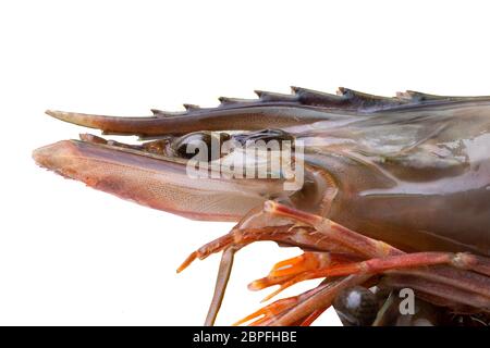 Sfondo di pesce. Primo piano di un gamberetto fresco crudo con il fuoco sulla testa. Macro della testa dal lato. Cibo sano. Foto Stock