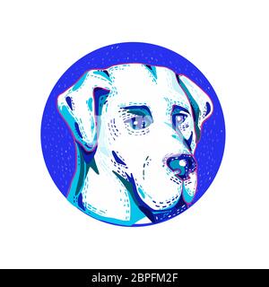 Doodle arte illustrazione della testa di un Labrador Retriever o in laboratorio, un tipo di retriever-cane da impostare all'interno del cerchio fatto in stile retrò. Foto Stock