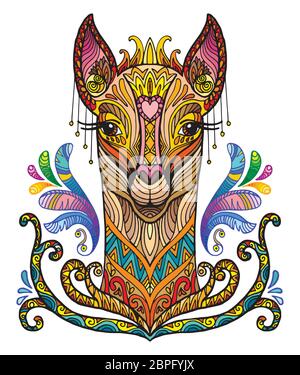 Vettore decorativo doodle testa ornamentale di lama. Astratto vettore colorato illustrazione della testa lama isolato su sfondo bianco. Illustrazione del magazzino Illustrazione Vettoriale