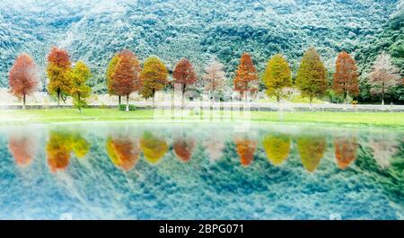 Il classico blad cypress scena di Taiwan cipresso calvo alberi riflessione, Taiwan Foto Stock