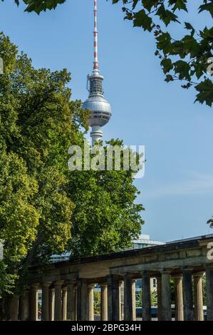 Vista della torre della televisione di Berlino dal bellissimo parco alla torre della televisione turismo verde berlino vacanza nel tuo paese punto di vista landma Foto Stock