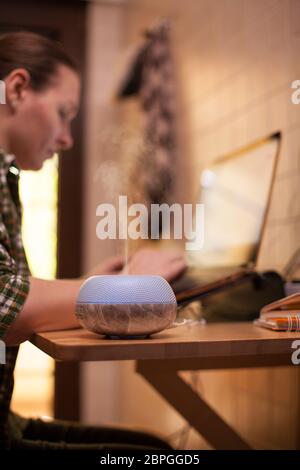 Donna d'affari che usa il laptop a casa durante il covid-19 e aromatherapy vaporizzatore. Foto Stock