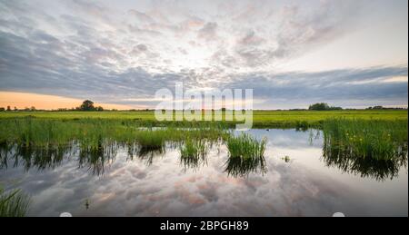 Nuvole sul vasto paesaggio olandese polder aperto al tramonto. Bellissimi riflessi nell'acqua calma del fosso. Foto Stock