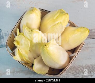 Vegetali scarole organico da un in Francia o in Belgio Foto Stock