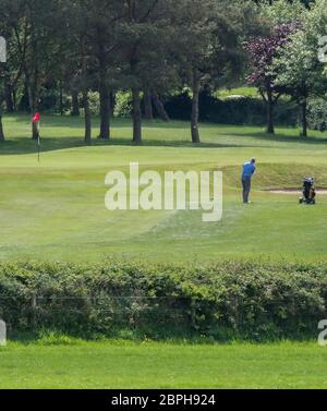 Edenmore Golf Club, Magheralin, Co Down, Irlanda del Nord. 19 maggio 2020. Il golf è ripreso ancora in Irlanda del Nord dopo che ieri l'esecutivo dell'Irlanda del Nord ha alleggerito le restrizioni di blocco (lunedì 18 maggio). Il golf è ora permesso benchè ci siano naturalmente protocolli in atto e la distanza sociale deve essere mantenuta. Un golfer scheggia sul verde. Credit: CAZIMB/Alamy Live News. Foto Stock