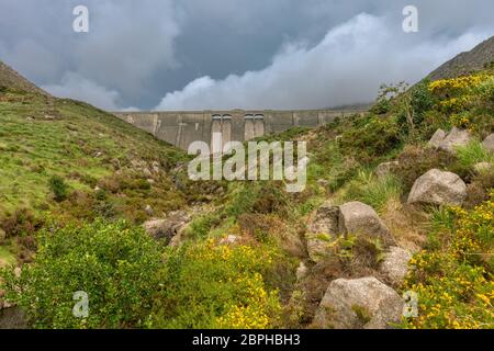 Ben Cromm Dam vicino Kilkeel nella contea in basso Irlanda del Nord Foto Stock