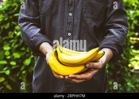 Frutta organica. Gli agricoltori mani di fresco con frutta raccolta. Fresche biologiche banana. Foto Stock