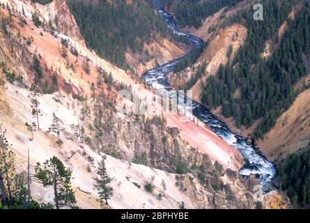 Grand Canyon of the Yellowstone da Inspiration Point, Yellowstone National Park, Wyoming Foto Stock