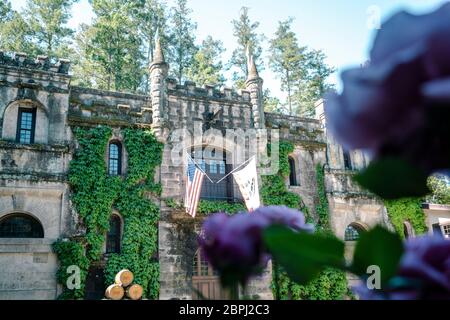 Azienda vinicola Chateau Montelena. Azienda vinicola fondata nel 1882 in un castello con giardini paesaggistici, che offre degustazioni giornaliere e visite nei giorni feriali. Napa Valley, California Foto Stock