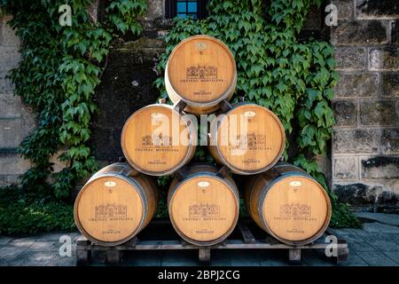 Azienda vinicola Chateau Montelena. Azienda vinicola fondata nel 1882 in un castello con giardini paesaggistici, che offre degustazioni giornaliere e visite nei giorni feriali. Napa Valley, California Foto Stock