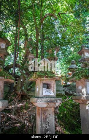 Santuario Kasuga-Taisha lanterne righe, Parco di Nara, Giappone Foto Stock