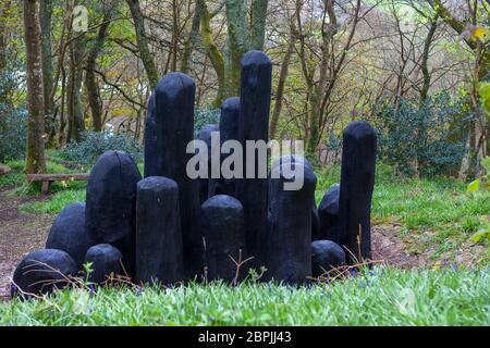 'Black Mound' di David Nash, RA.: Potente collezione di forme di quercia in un huddle scolpito, Tremenheere Sculpture Garden, Penzance, Cornovaglia, UK Foto Stock